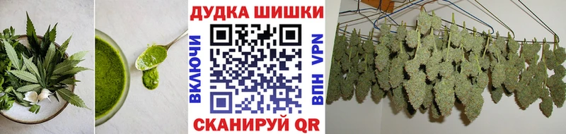 Canna-Cookies конопля  ОМГ ОМГ ONION  Волосово  купить наркоту 
