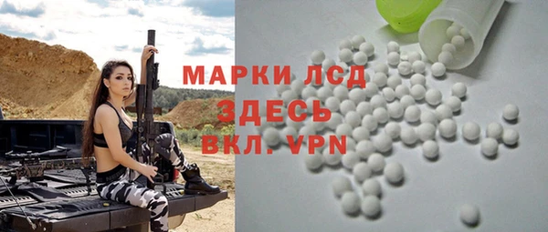 индика Богородск