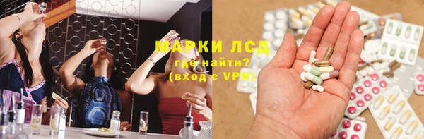 индика Богородск