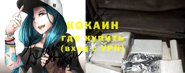 хмурый Белокуриха
