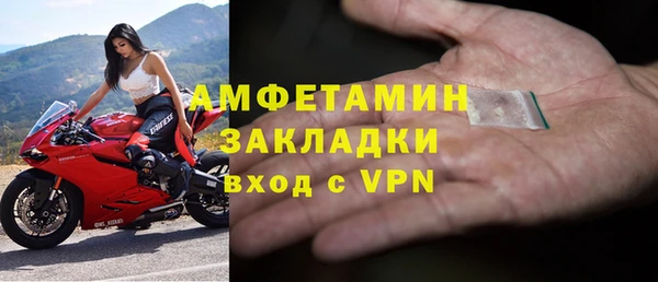 хмурый Белокуриха