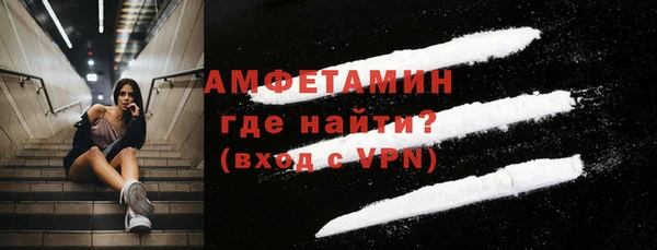 индика Богородск