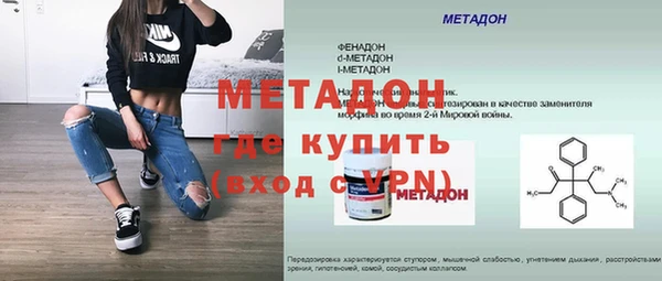 индика Богородск