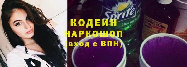 хмурый Белокуриха