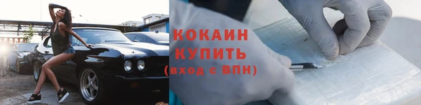 хмурый Белокуриха