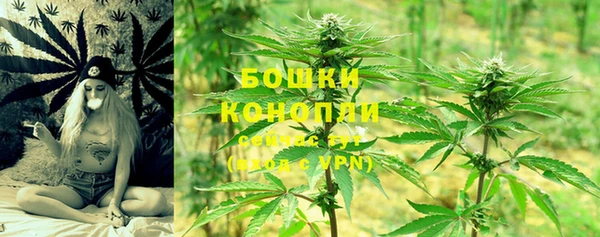 хмурый Белокуриха