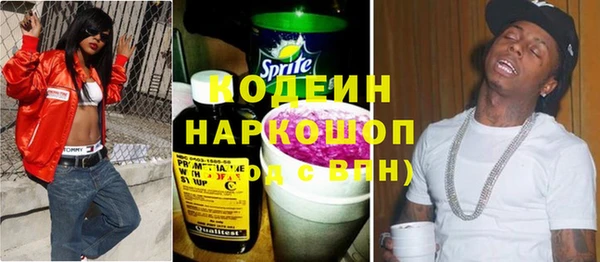 хмурый Белокуриха