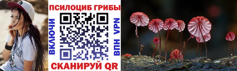 Псилоцибиновые грибы мухоморы  Волосово 